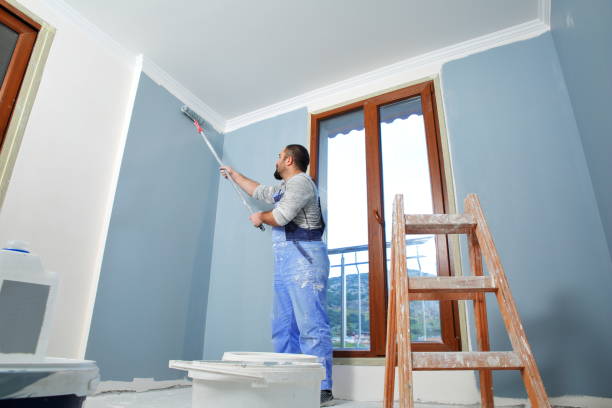 Best Basement Mold Removal  in Harrisville, WV