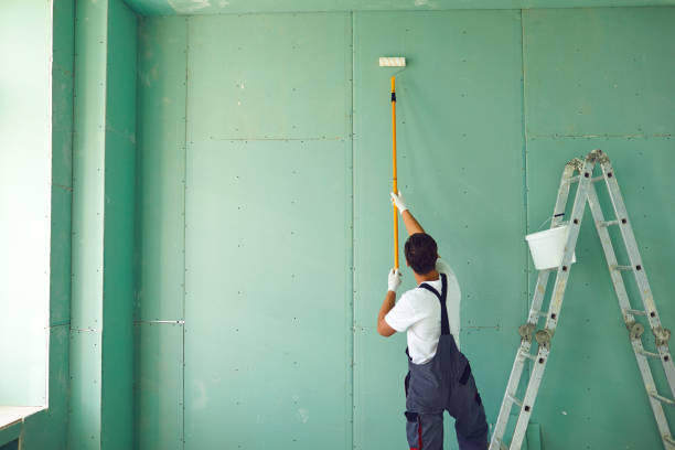 Best Biohazard Mold Removal  in Harrisville, WV