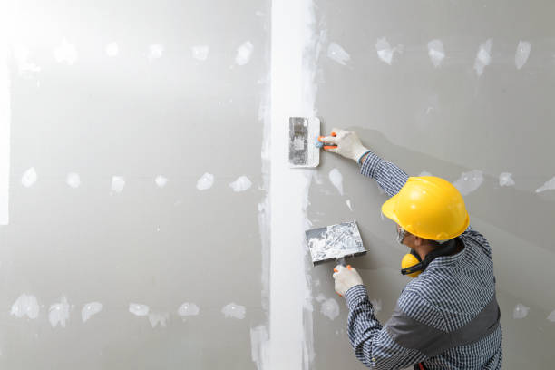 Best Attic Mold Removal  in Harrisville, WV
