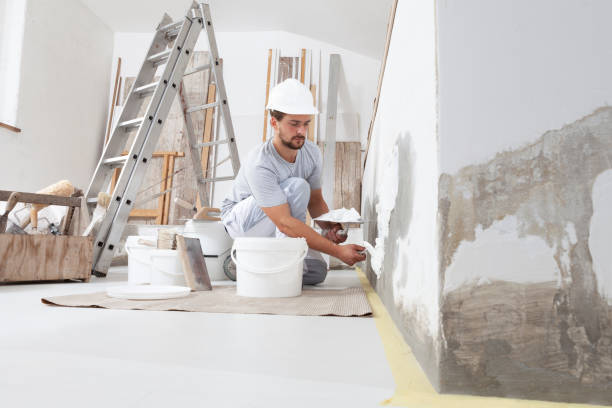 Best HVAC Mold Inspection and Cleaning  in Harrisville, WV