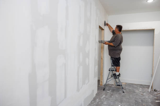 Mold Remediation for Rental Properties in Harrisville, WV