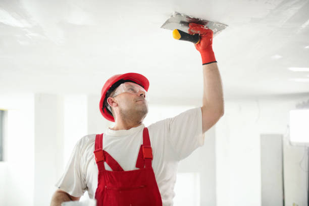  Harrisville, WV Mold Removal Pros