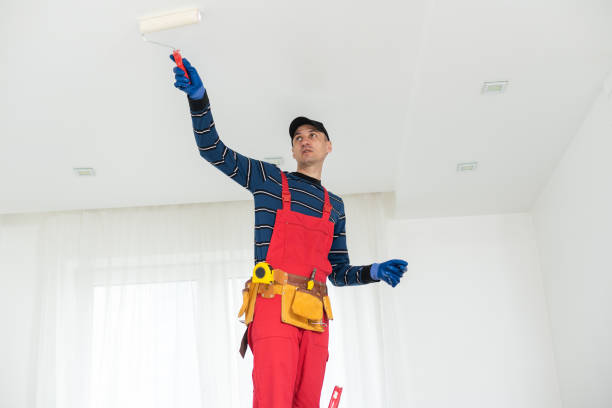 Best Comprehensive Air Testing for Mold Contaminants  in Harrisville, WV