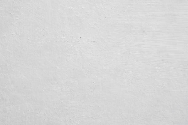 Best Attic Mold Removal  in Harrisville, WV