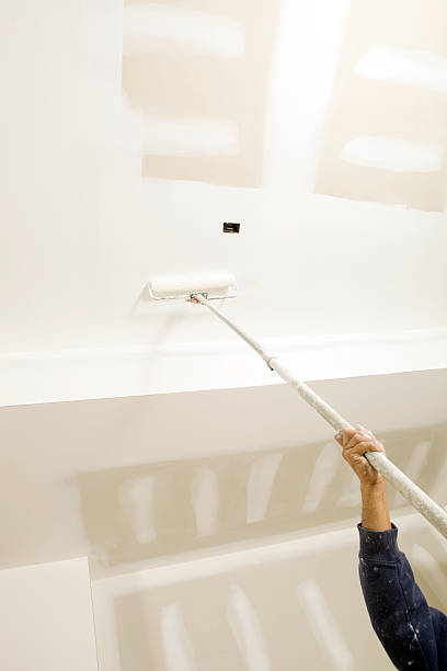 Best Environmental Consulting for Mold Prevention  in Harrisville, WV