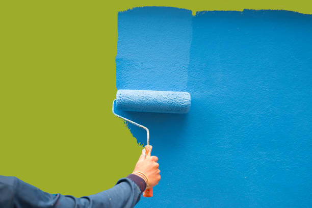 Best Basement Mold Removal  in Harrisville, WV